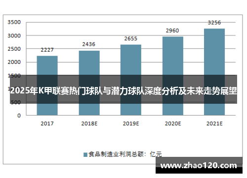 2025年K甲联赛热门球队与潜力球队深度分析及未来走势展望